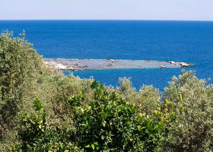 Archodissa *